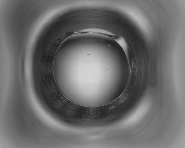 X0000111670383200907171618