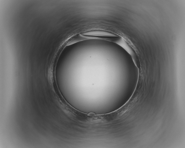 X0000111670386200907171618