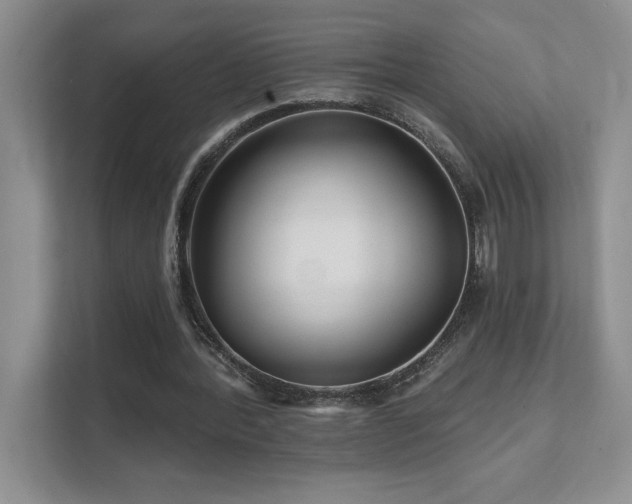 X0000111670388200907171618