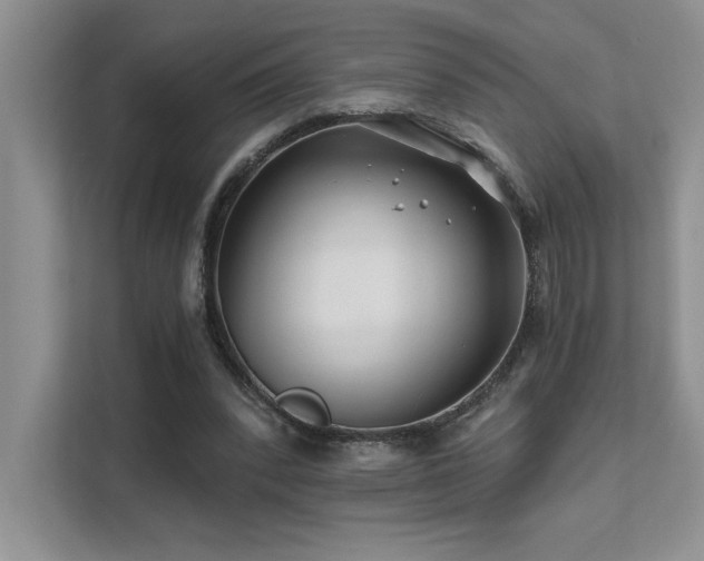 X0000111670392200907171618