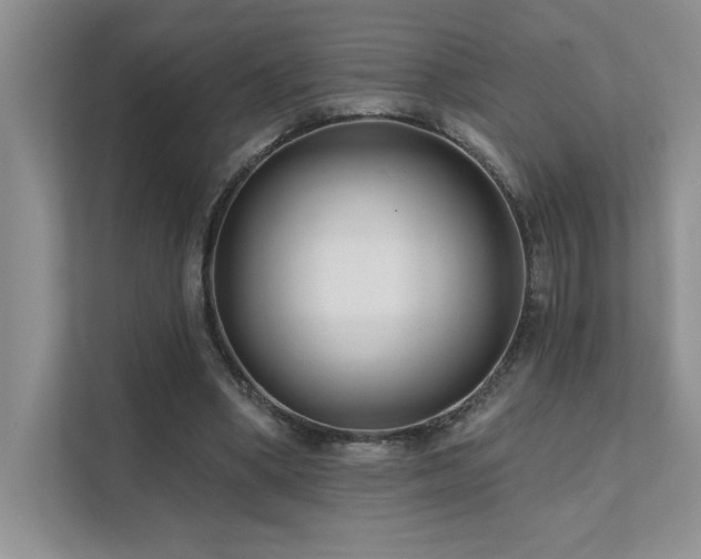 X0000111670394200907171618