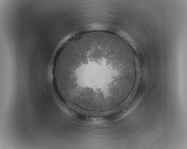 X0000111670395200907171618