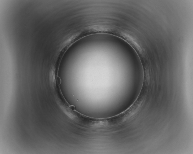 X0000111670398200907171618