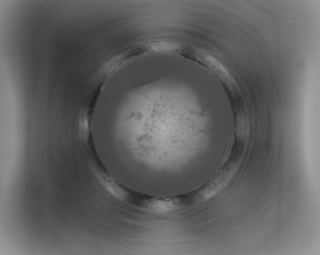 X0000111670405200907171618