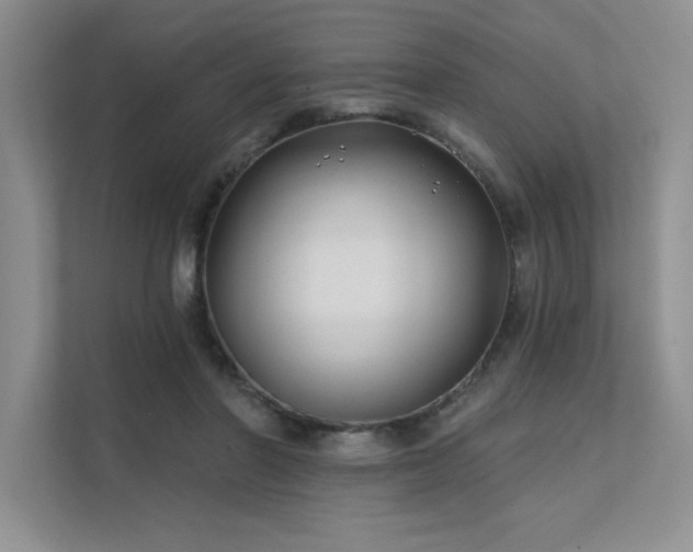 X0000111670406200907171618