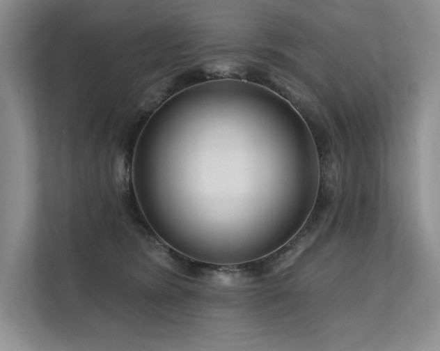 X0000111670420200907171617