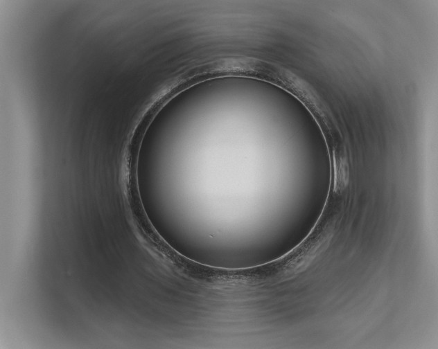 X0000111670435200907171617