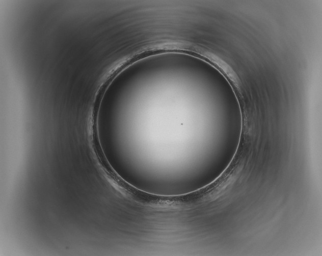 X0000111670437200907171617