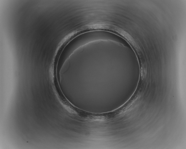 X0000111670438200907171617