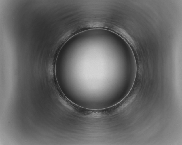 X0000111670441200907171617