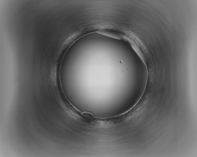 X0000111670442200907171617