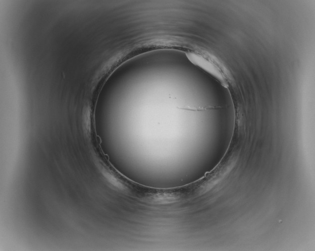 X0000111670445200907171617