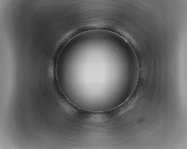 X0000111670446200907171617