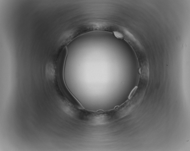 X0000111670456200907171617