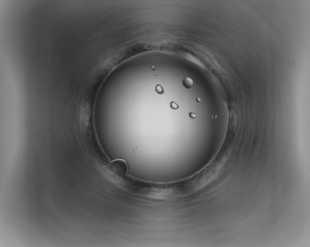 X0000111670458200907171617