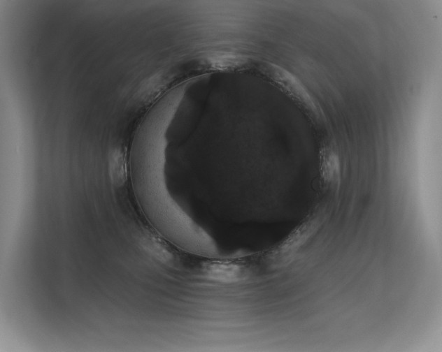 X0000111670471200907171617