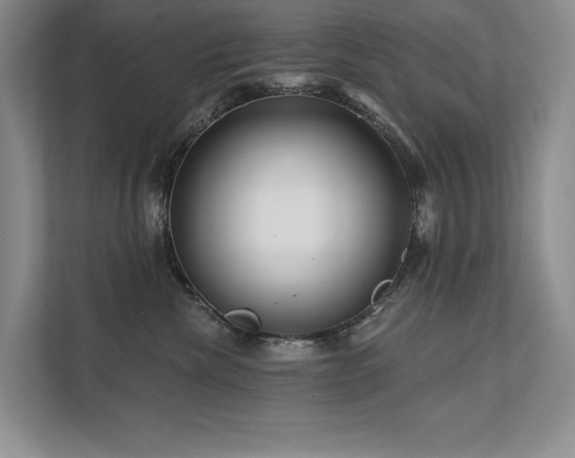 X0000111670476200907171617