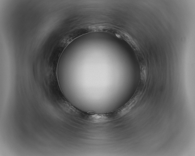 X0000111670477200907171617