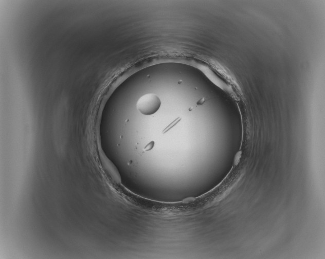 X0000111670481200907171617