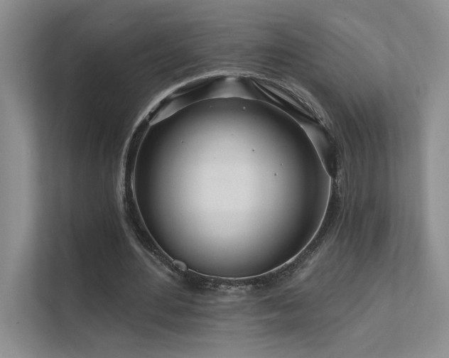 X0000111670484200907171617