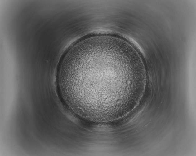 X0000111670487200907171617