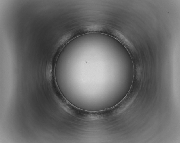 X0000111670490200907171616