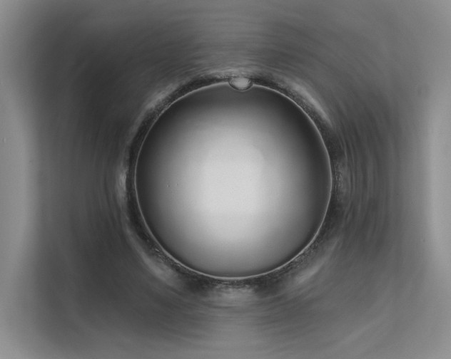 X0000111670491200907171616