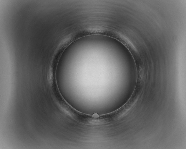 X0000111670494200907171616