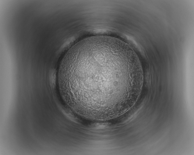 X0000111670495200907171616