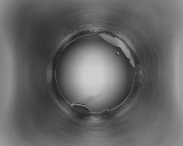 X0000111670496200907171616