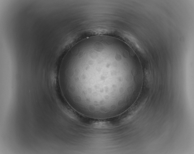 X0000111670499200907171616