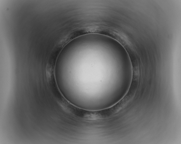 X0000111670503200907171616