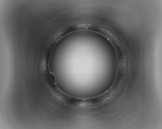 X0000111670504200907171616