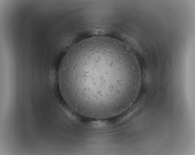 X0000111670511200907171616