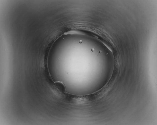 X0000111670512200907171616