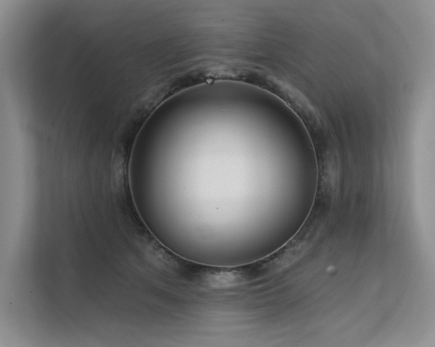 X0000111670513200907171616