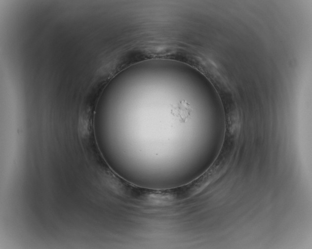 X0000111670515200907171616