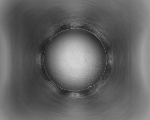 X0000111670519200907171616