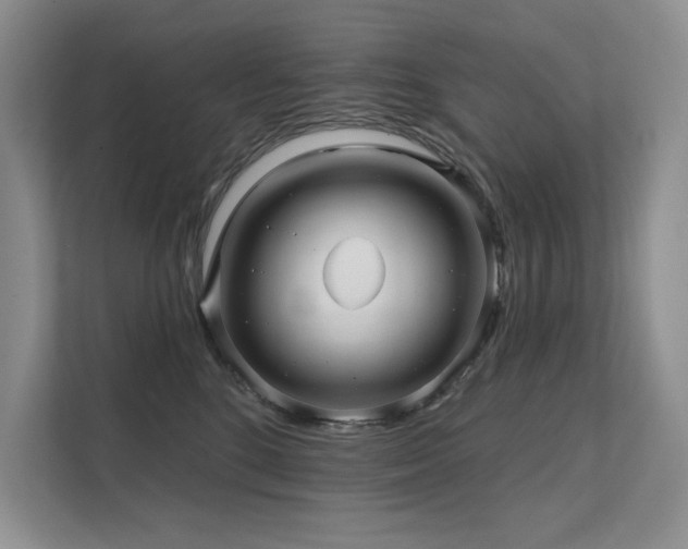 X0000111670520200907171616