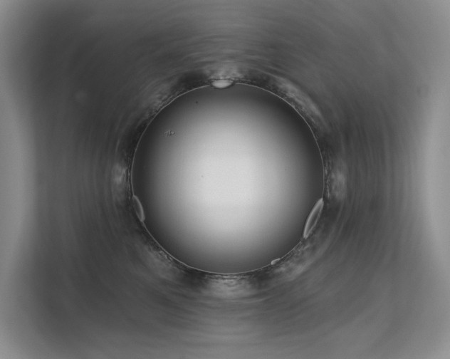 X0000111670521200907171616