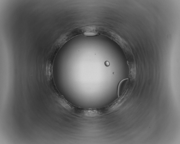 X0000111670525200907171616