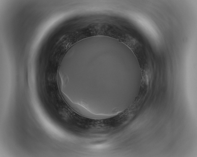 X0000111670526200907171616