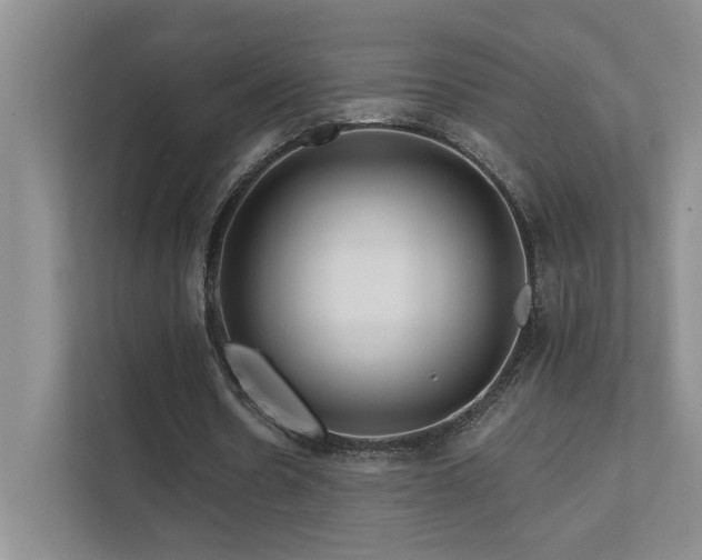 X0000111670530200907171615