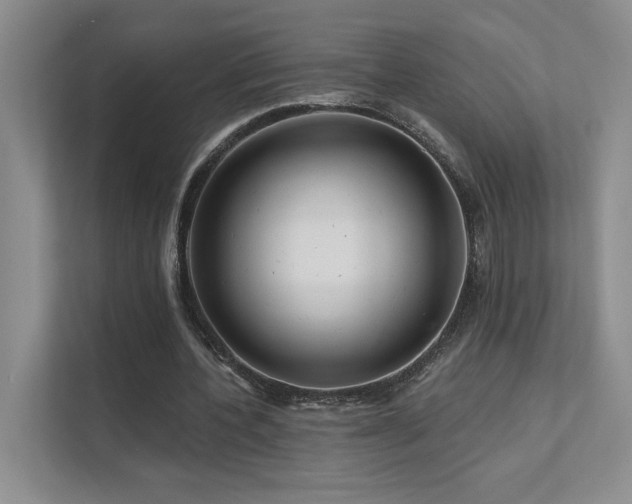 X0000111670532200907171615