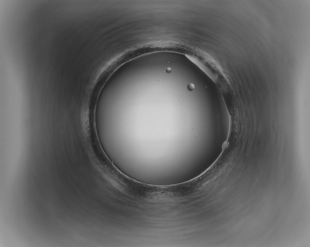 X0000111670535200907171615