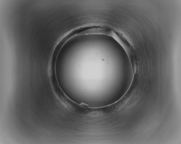 X0000111670536200907171615