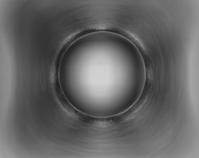 X0000111670540200907171615