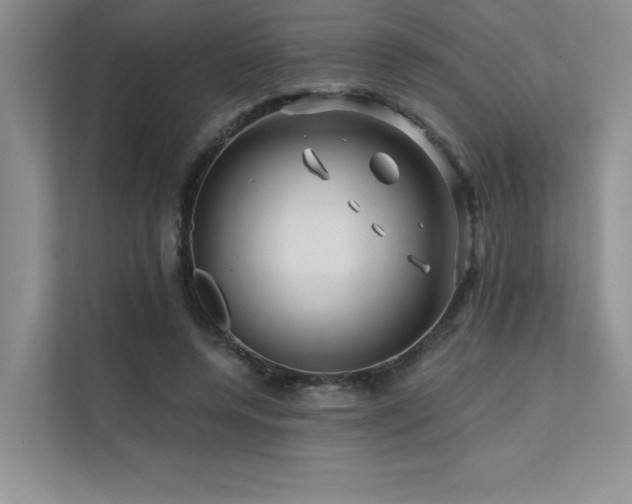 X0000111670544200907171615