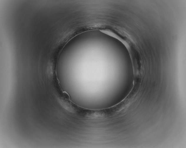 X0000111670546200907171615