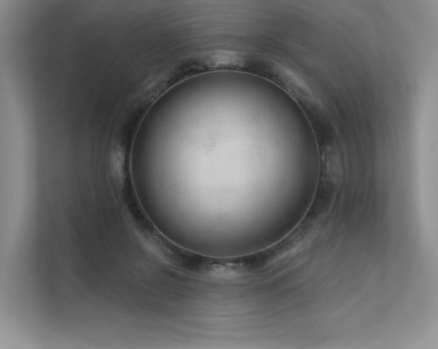 X0000111670550200907171615